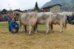 160409Attinghausen 092